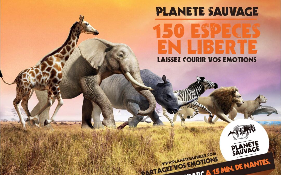 Planète sauvage