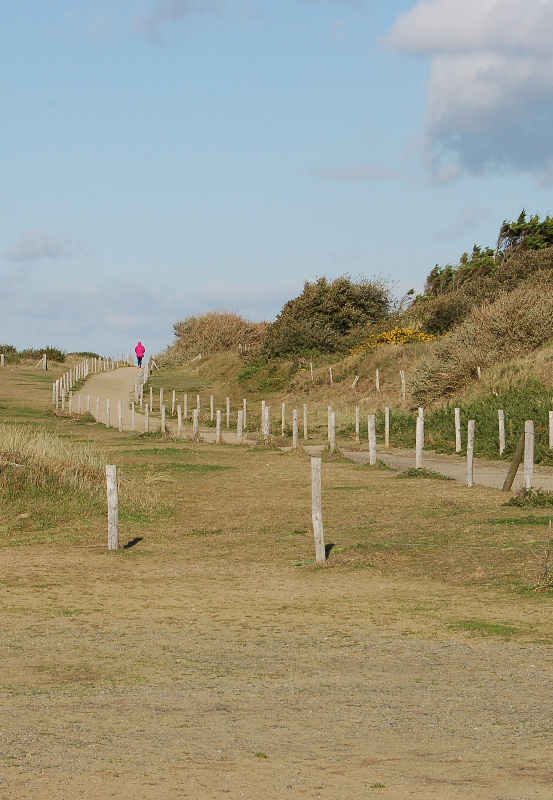 Promenade calme au bord de l'eau