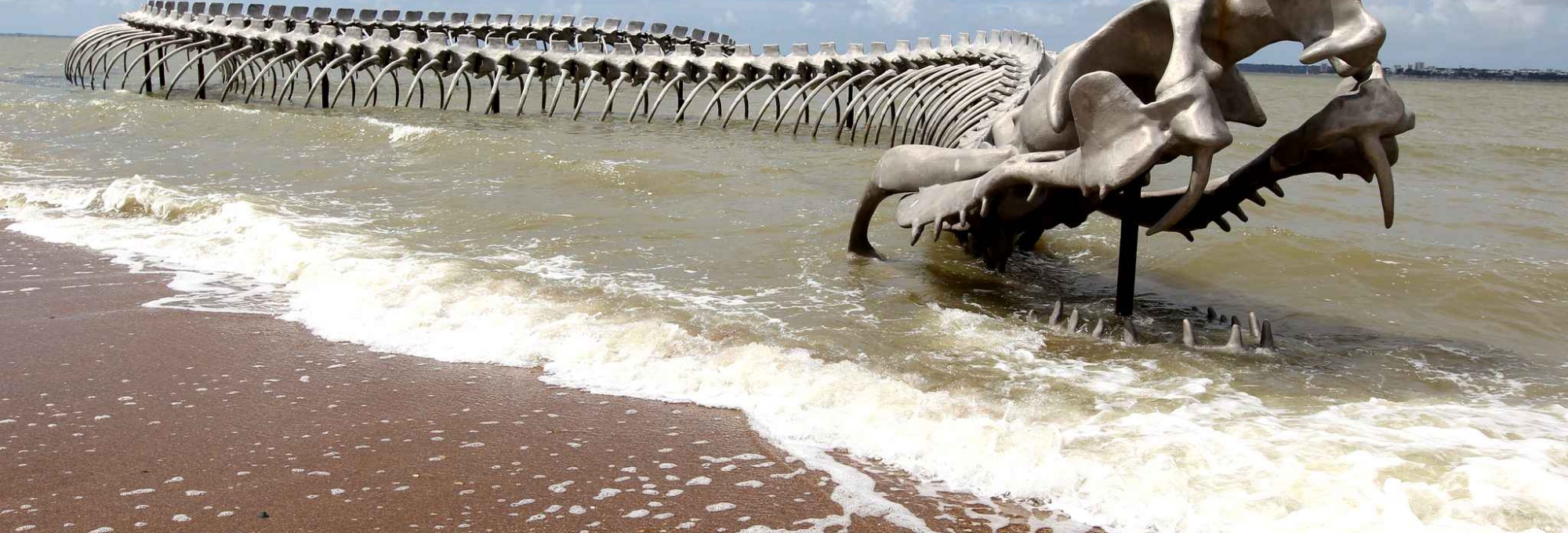 le serpent de l'océan