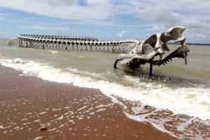 le serpent de l'océan